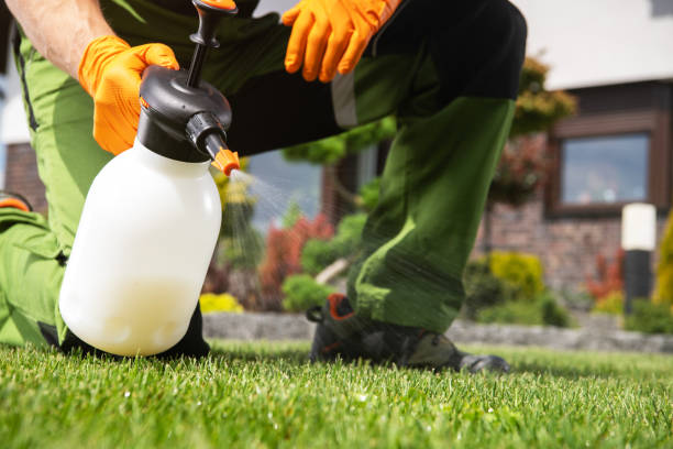 Bird Control in Sleepy Hollow Lake, NY