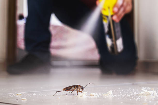 Professional Pest Control in Sleepy Hollow Lake, NY